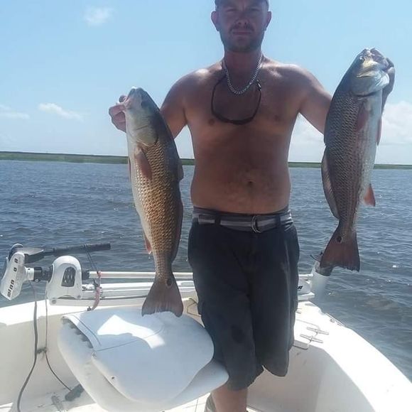 Meet your Posher, John - Picture 1 of 1